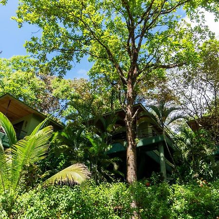 Arbol Verde Villas Ojochal Exteriör bild