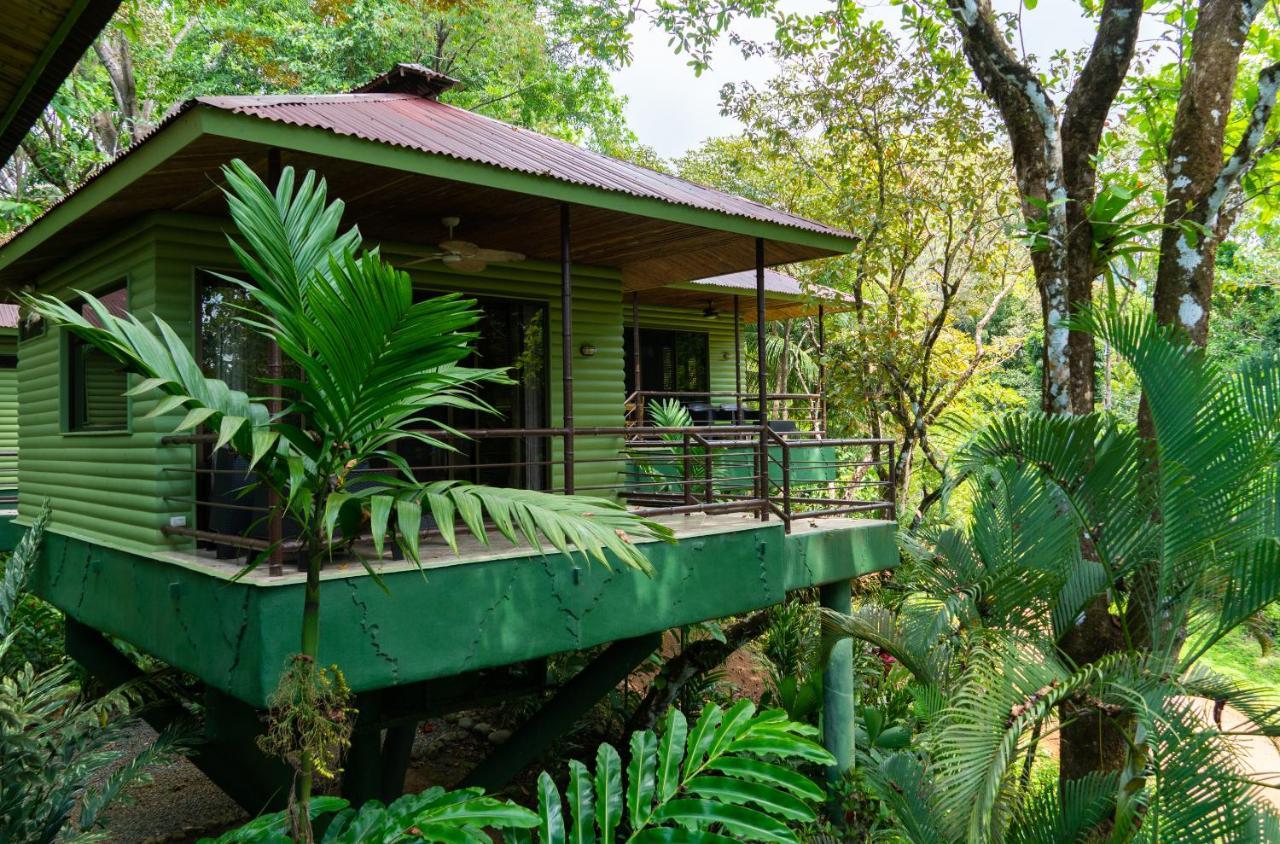 Arbol Verde Villas Ojochal Exteriör bild