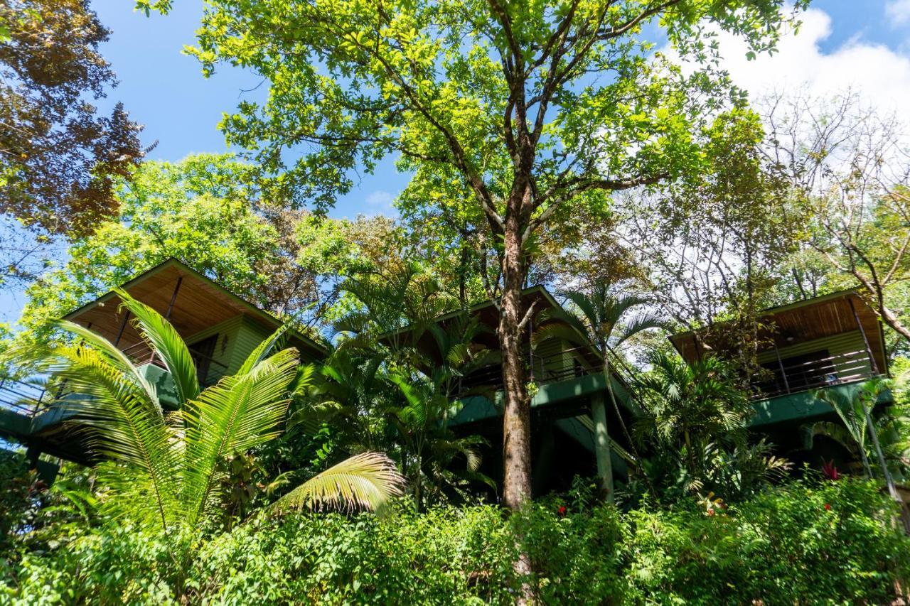 Arbol Verde Villas Ojochal Exteriör bild