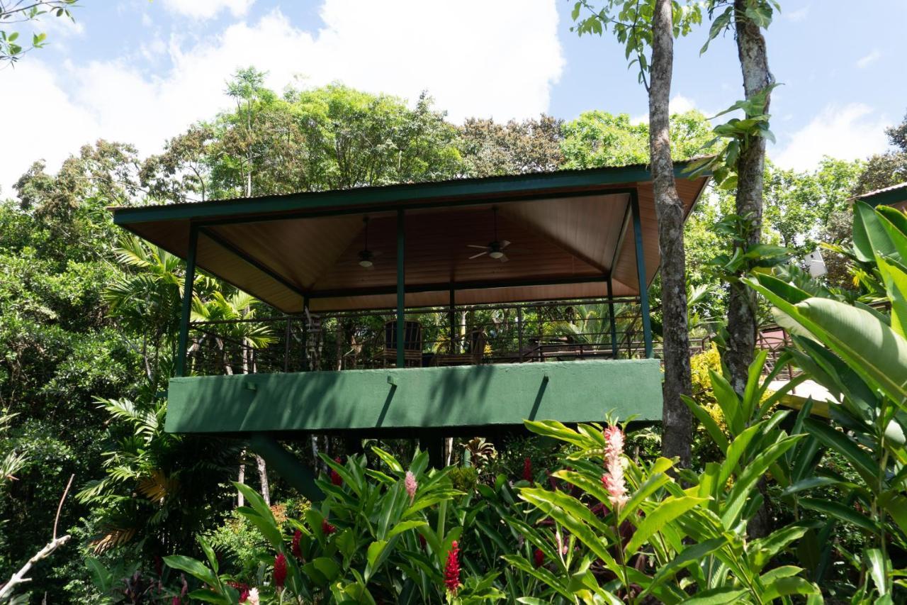 Arbol Verde Villas Ojochal Exteriör bild