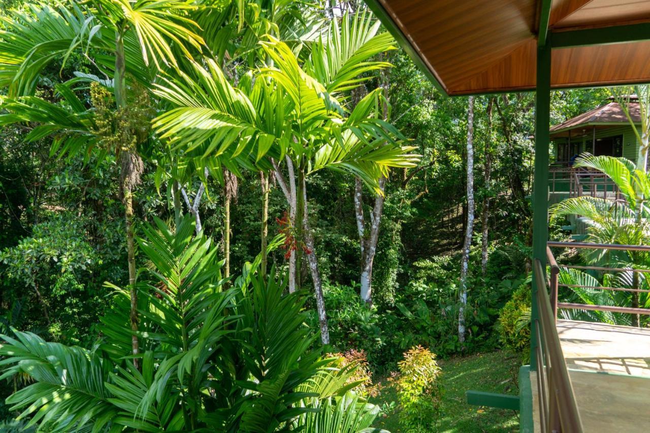 Arbol Verde Villas Ojochal Exteriör bild
